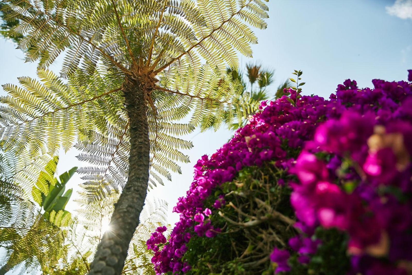 The Beverly Hills Hotel - Dorchester Collection Los Angeles Exterior photo